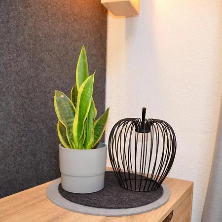 Apartament Marie-therese *